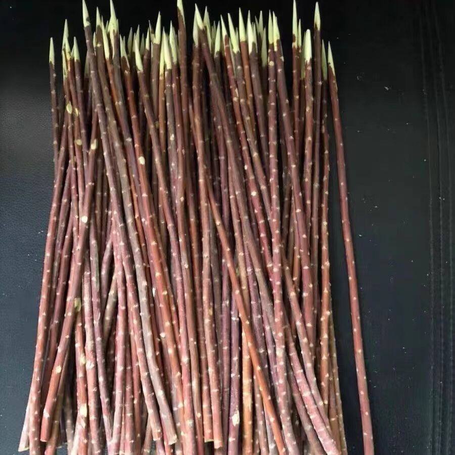新疆烤肉红柳条羊肉串红柳签子红柳枝烧烤店专用厂家直销摆摊夜市