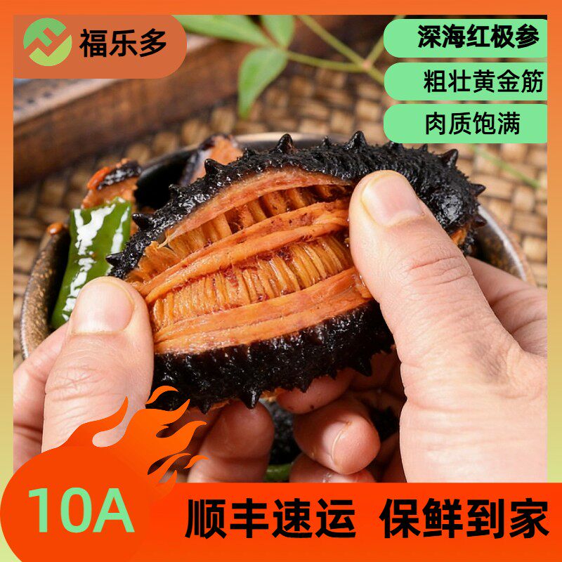 纯肉海参纯天然深海红极参4-6头/500g顺丰冷链发货送食谱