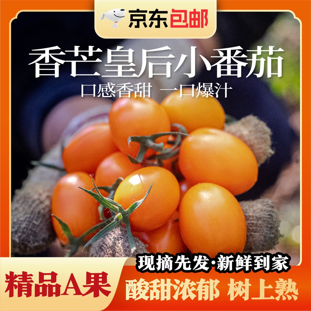 京东包邮香芒皇后小番茄圣女果自然熟口感脆爽爆浆产地直发