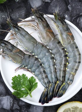 A级超大号黑虎虾一盒21-24只左右礼盒装7-9只/斤1275g左右/盒 A