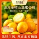 东方甄选自营广西滑皮金桔 脆蜜金柑带皮吃金桔新鲜水果坏果包赔