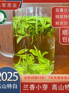 A482025新茶明前特级兰香味小芽高山特白口感鲜爽回甘