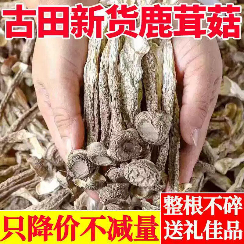 鹿茸菇干货500g鹿茸菌云南特产脆脆菇特级食用菌煲汤菌类干货食材