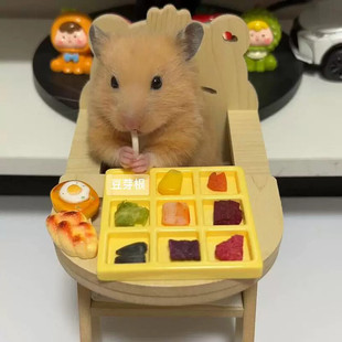 仓鼠餐桌椅吃饭小饭桌摆拍可爱桌子造景天然枫樱木金丝熊用品大全