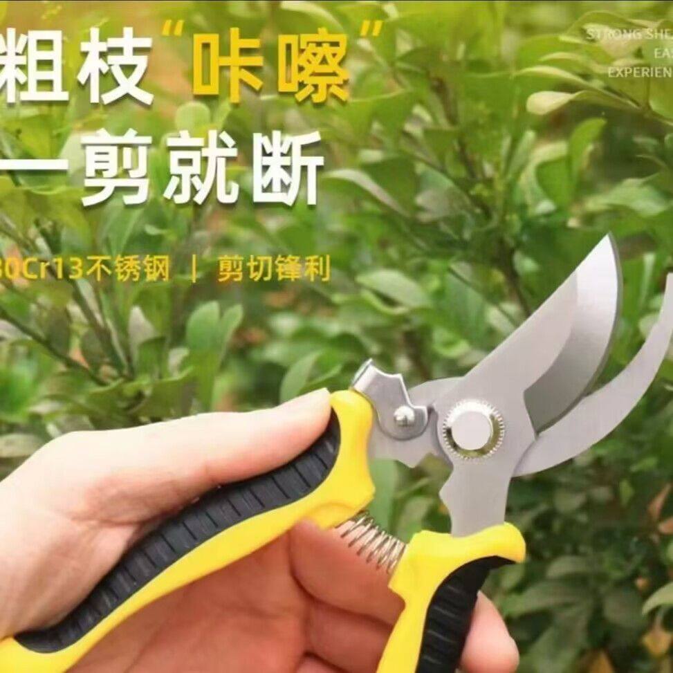 园艺专用剪子强力剪果树花卉花草盆栽粗枝剪园艺修剪木质纸条