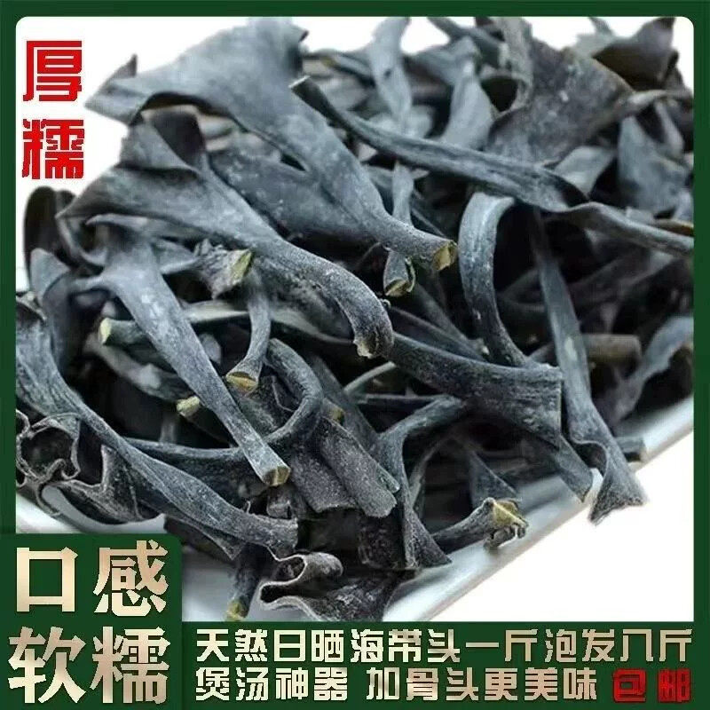 福建霞浦海带头干货厚实软糯海带根特厚海带梗新货海带丝头蒂