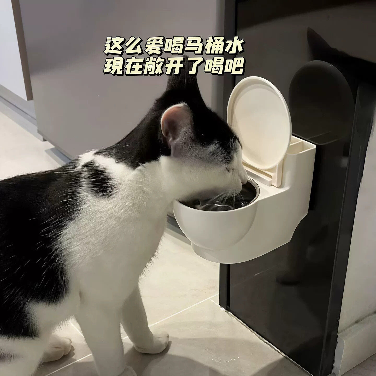 创意马桶猫咪水碗悬挂式防打翻护颈骗水神器猫猫宠物专用2025新款