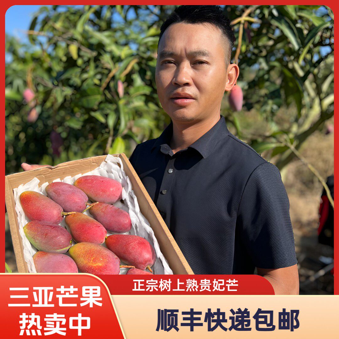 海南三亚优质树上熟贵妃芒果5-10斤精品果香甜多汁坏果包赔新鲜发