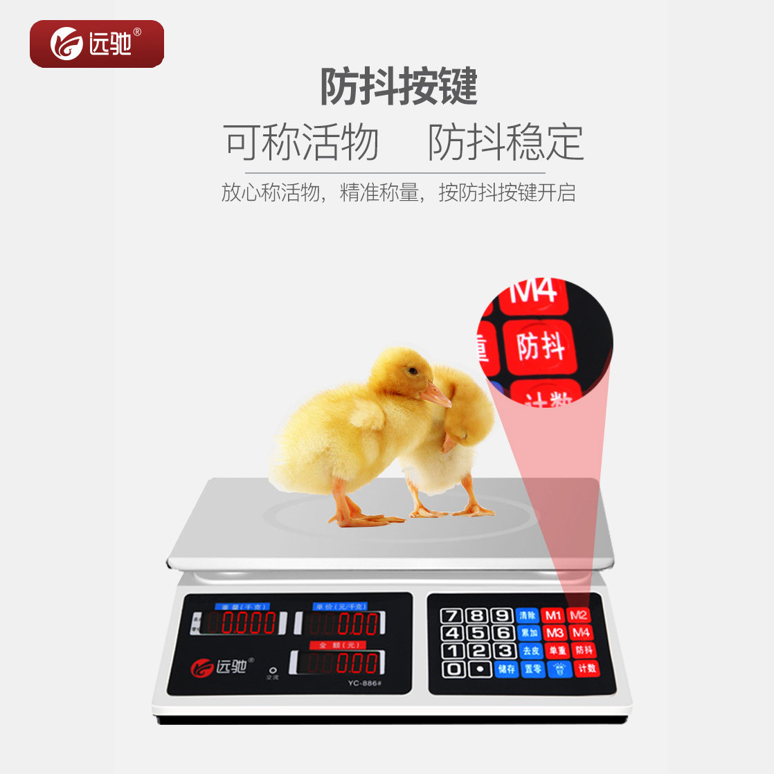 远驰电子秤计价称商用10g台秤电子商用称30kg公斤计数水果包裹称