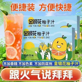 金银花柚子汁豆芽植物果汁原浆酸梅汤梨休闲儿童夏日清凉饮品