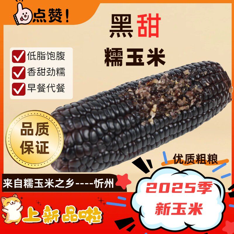 【产地直发】忻州黑糯玉米真空锁鲜低脂代餐粗粮【8穗】