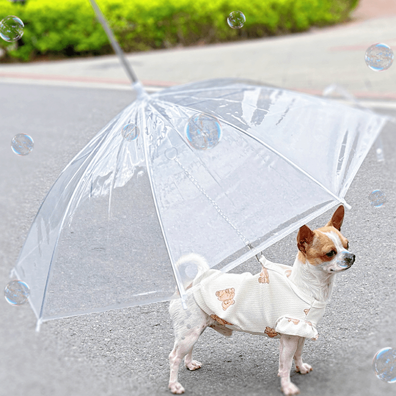 宠物专用狗狗雨伞下雨遛狗神器柯基雨衣狗用雨伞透明泰迪中小