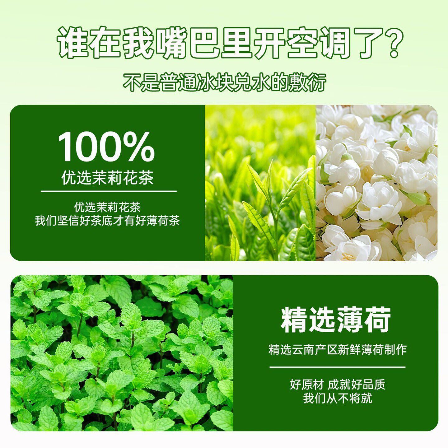 景福山冰吸茉莉花茶鲜萃茉莉绿茶新鲜薄荷独立茶包250g装冷热双泡