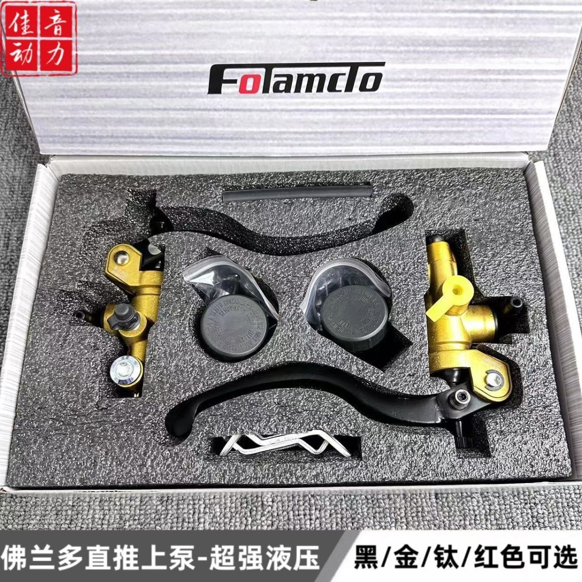 正品佛兰多非瑞祖码布雷博直推电动机车上泵小牛酷奇龟车极酷X5直
