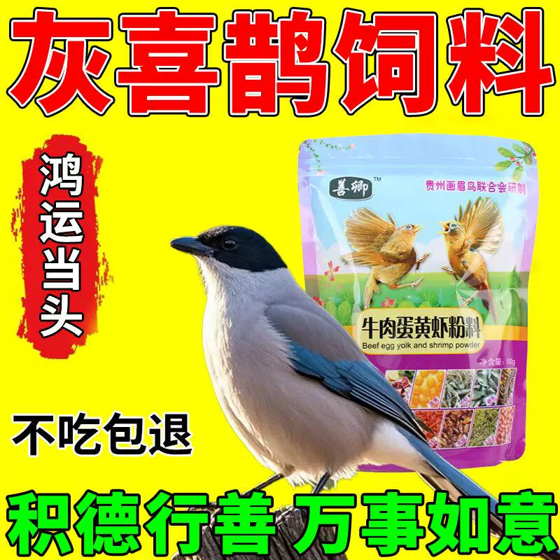 灰喜鹊鸟粮雏鸟专用饲料红嘴蓝鹊松鸦通用型营养鸟粮亮羽壮膘粮食