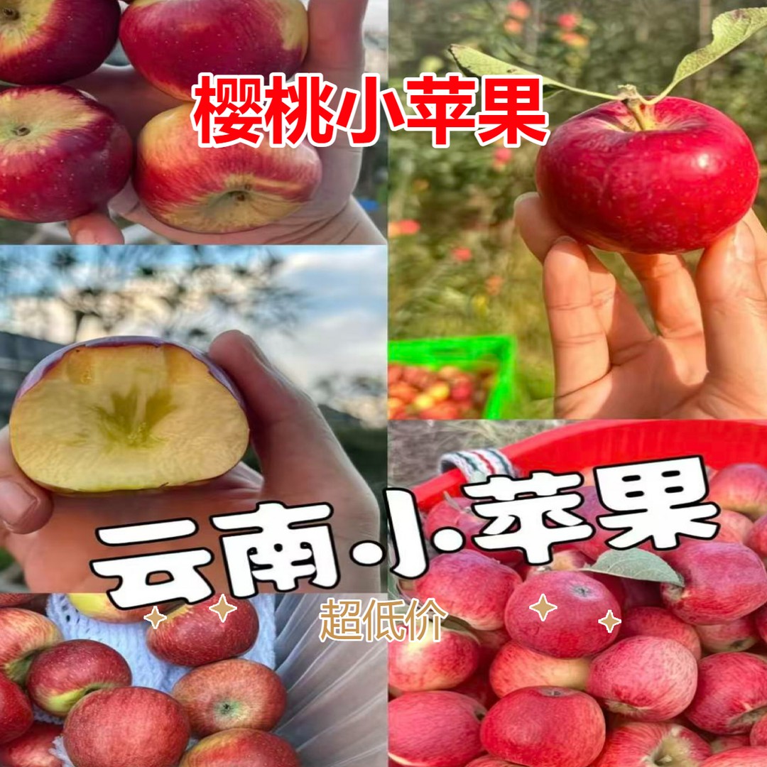 樱桃小苹果3斤产地直发苹果多汁维生素C水果宝宝果营价值
