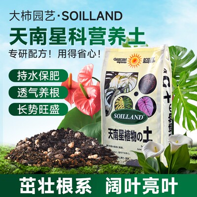 【新品】大柿园艺soilland天南星科专用营养土盆栽养花肥料专用土