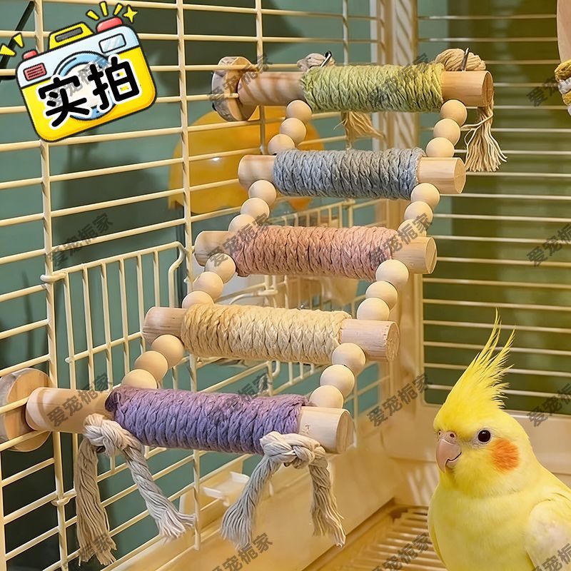 鹦鹉笼子装饰鹦鹉爬架站杆马卡龙云梯爬梯攀爬多用鸟玩具牡丹玄凤