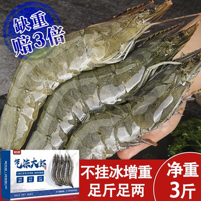 最岛城气冻大虾15-18cm约50只3040规格净重3斤青岛海虾鲜活速冻