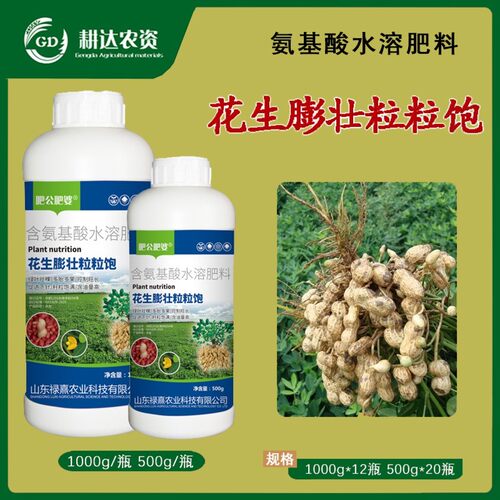 肥公肥婆花生膨大粒粒饱绿叶壮颗颗粒饱满提高产量农肥科技腐植酸