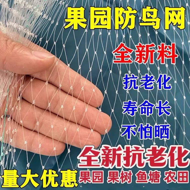 大棚鸟防护网农用果园大棚防鸟网尼龙网果树稻谷樱桃葡萄梨树草莓