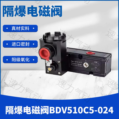 隔爆电磁阀BDV510C5-024气动阀门板式隔爆阀ExiaIICT6二位三/五通