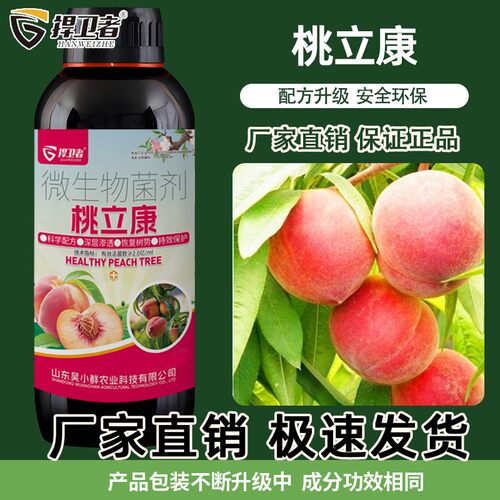 捍卫者桃立康桃树果树种植用补充营养恢复树势水枪