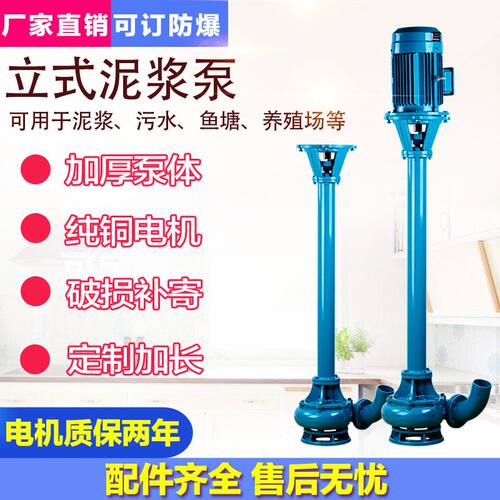 养殖场液下泵立式泥浆泵抽鸡鸭猪粪380V/220V抽粪泵干湿分离机泵