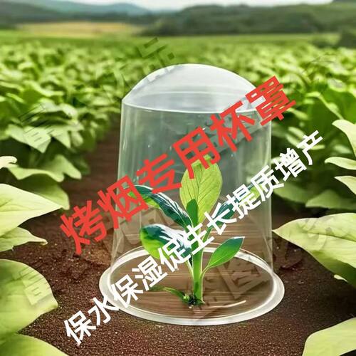 烤烟专用移栽杯罩加厚款育苗保护罩杯保水保湿保温扣碗移栽苗烟苗