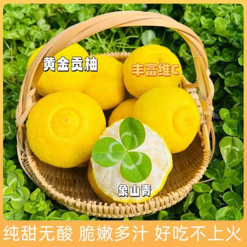 【普通快递】湖南怀化正宗岩龙黄金贡柚脆甜香包赔香甜食用脆爽产