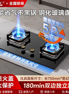 [新飞]燃气灶双灶家用煤气灶天然气嵌入式猛火灶液化气灶不锈钢灶