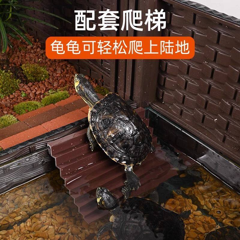 乌龟饲养缸生态养龟黄缘水陆专用缸大号特大号饲养箱造景别墅两栖