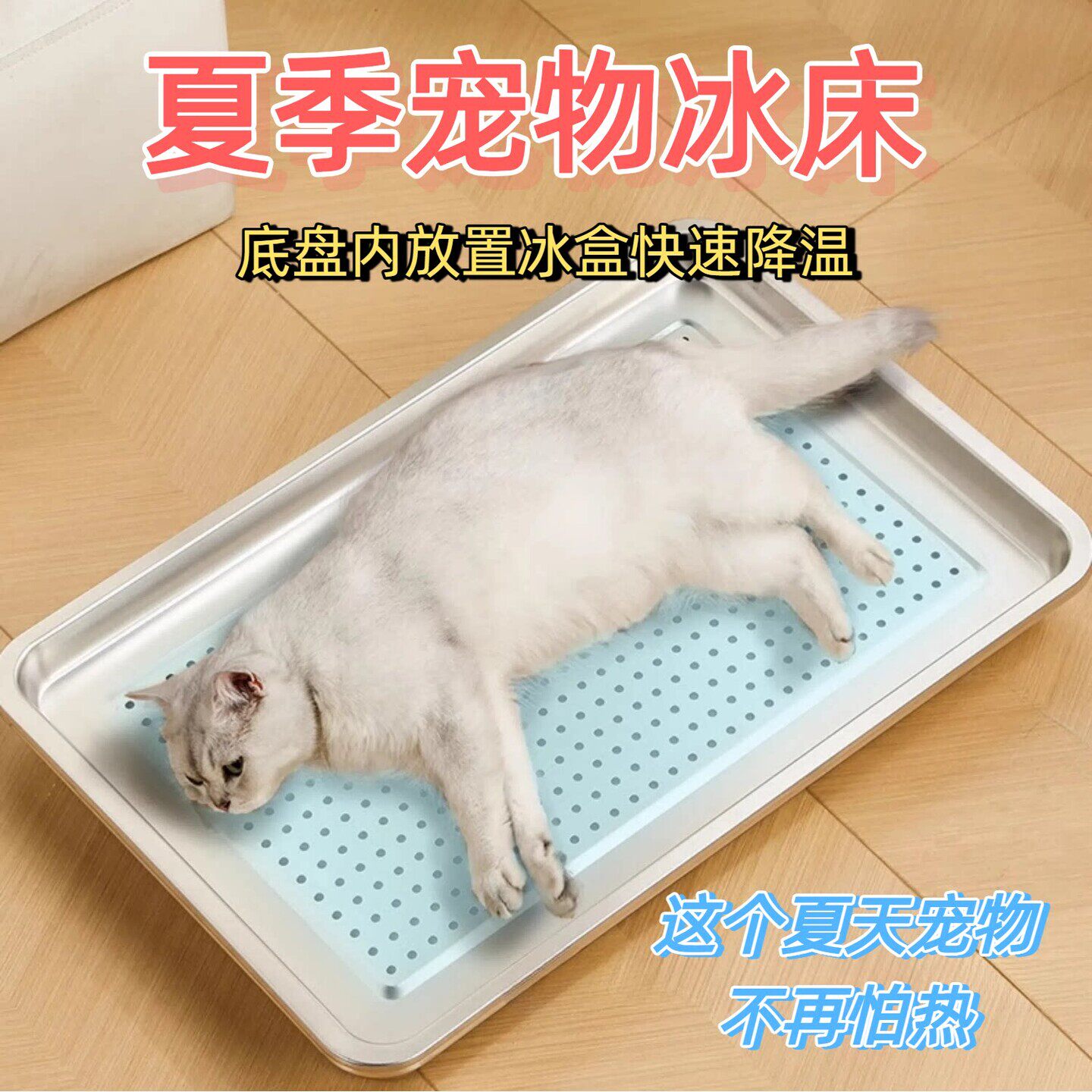 猫咪夏天宠物降温神器兔子冰屋仓鼠冰盒小猫解暑冰窝狗狗散热板