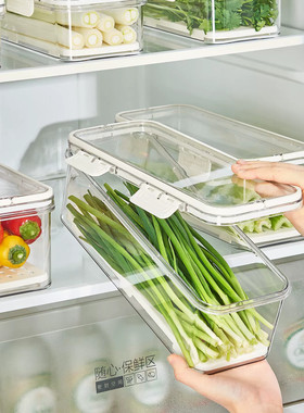 小葱香菜保鲜盒冰箱收纳盒食品级姜蒜挂面条蔬菜整理储物专用神器