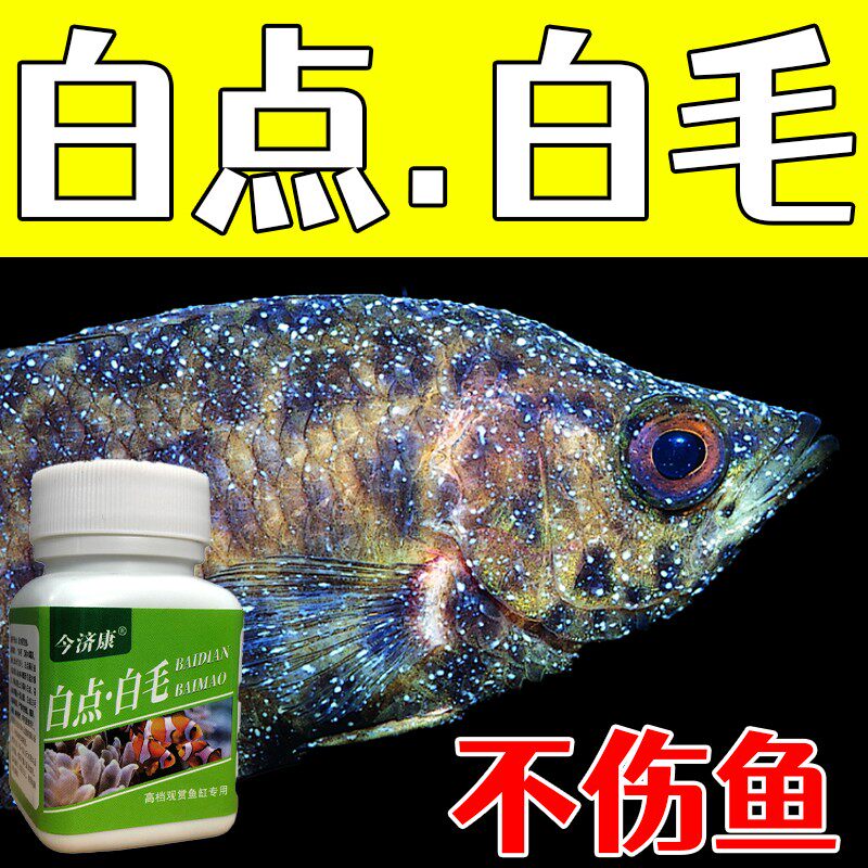 鱼白点白毛粉白点净锦鲤金鱼白毛烂尾专用粉 - 实物图
