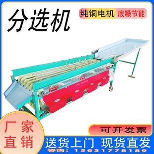 选果机李子樱桃筛选机圣女果百香果分级机柠檬金桔橙子分级机荔枝