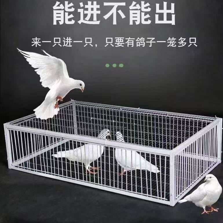 野外自动捕鸡网加密鸽子笼鸡笼兔子笼猫笼小型动物自撞笼有进无出