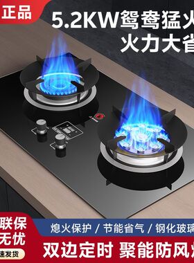 新飞煤气灶家用嵌入式直喷猛火灶台式天然气燃气灶定时灶具