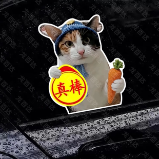 罗卜纸巾猫咪车贴磁铁中手真棒搞笑实习表情包创意新手司机警示贴