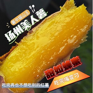 蜜薯中猫山王扬州美人薯糖心流油爆浆比榴莲蜜薯红瑶好吃甜如蜂蜜