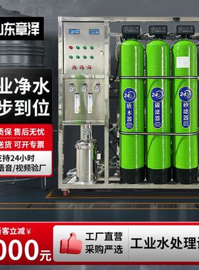 大型工业反渗透水处理设备去离子纯水机ro全自动去泥沙净水设备厂