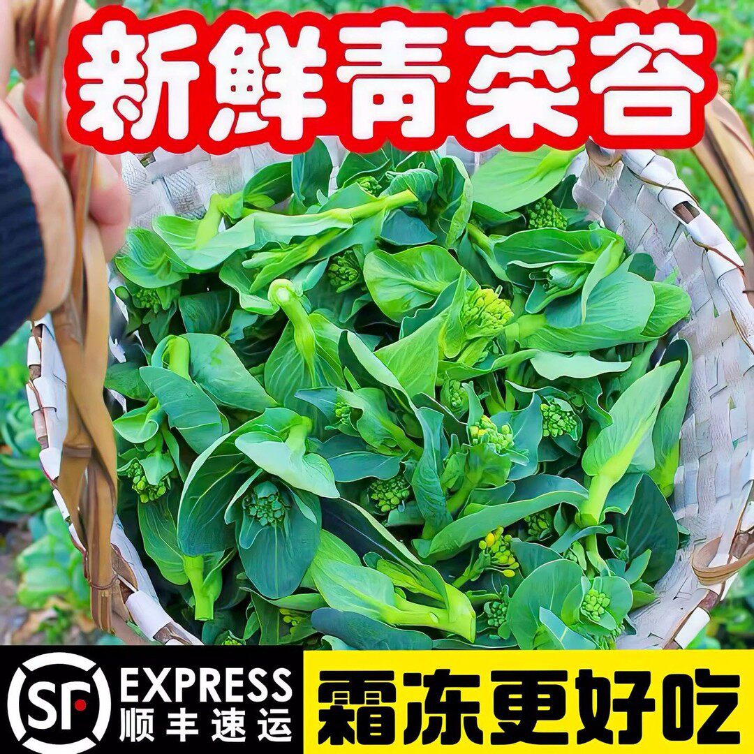 「当天发货」苏北露天头茬菜苔菜心有花蕊粗壮型甜糯嫩