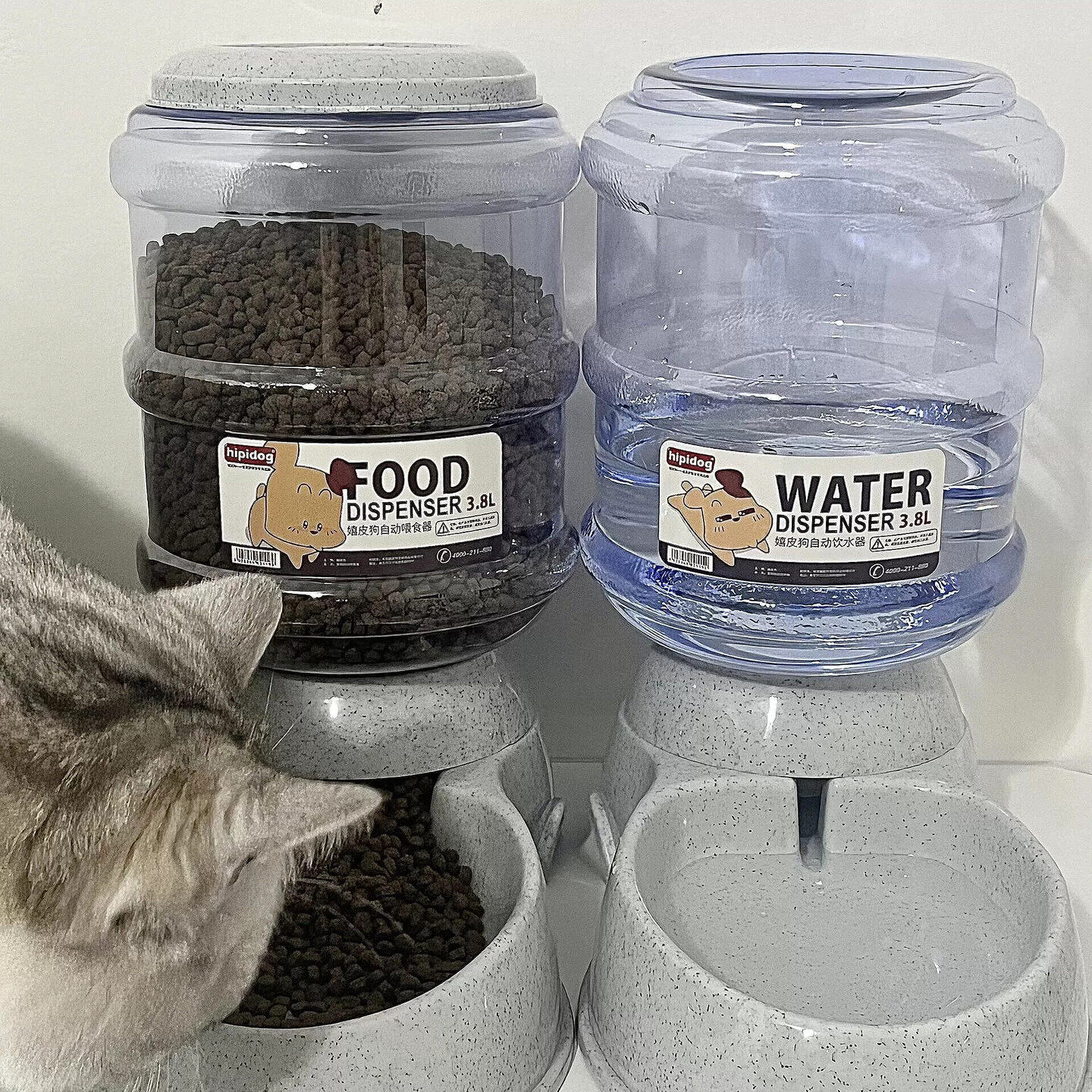 猫咪饮水机不插电宠物自动喂食器大容量狗狗喝水器自动喂粮防打翻