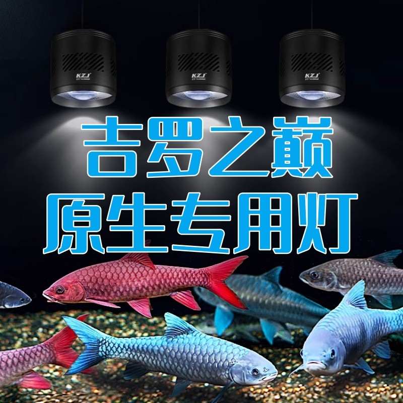 康之杰鱼缸灯发色灯爆澡增艳溪流灯吉罗之巅原生溪流缸灯吉罗鱼灯图片
