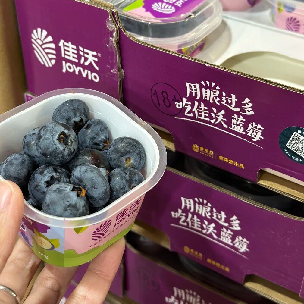新到佳沃L25蓝莓硬脆甜嘎嘎好吃辽宁省