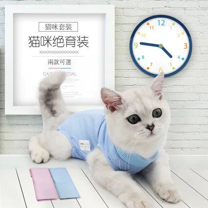 猫咪绝育手术服母猫断奶服术后防咬防舔透气弹性四脚猫咪宠物衣服