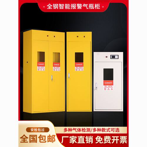 防爆气瓶柜安全柜实验室气瓶柜全钢乙炔氢氮气液化气防爆箱储存柜