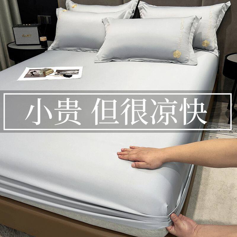 南极人新款冰丝床笠单件夏季凉感床罩床单三件套宿舍单人防滑床笠