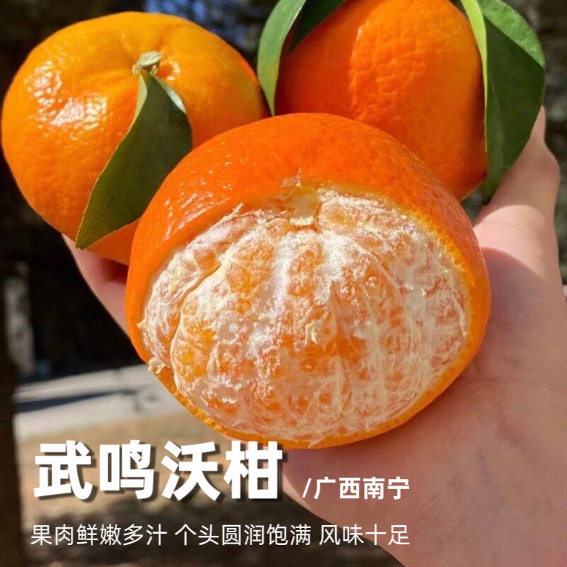 广西武鸣沃柑当季新鲜水果皮薄肉厚酸甜多汁产地直发