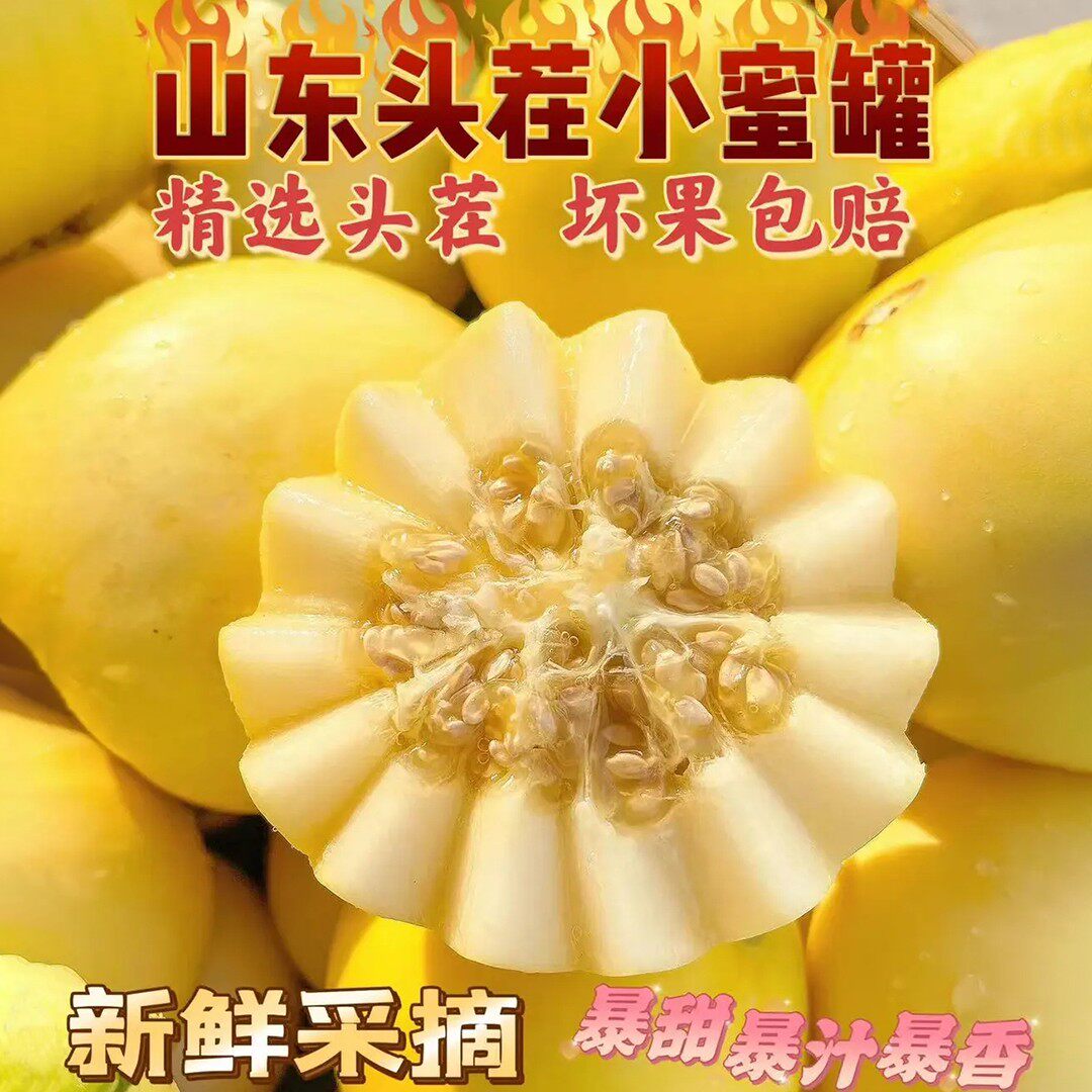 顺丰包邮26年山东胡集直发小蜜蜂甜瓜头茬香瓜脆白梨瓜当季水果